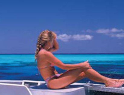 Mike Ball Dive Expeditions - Accommodation in Bendigo 0