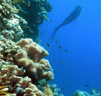 Reef Magic Cruises - Accommodation in Bendigo