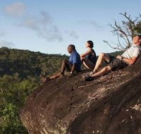 Cooktown Aboriginal Art Tours - Accommodation in Bendigo