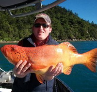 Gone Fishing by Coral Sea Fishing Charters Airlie Beach - Accommodation in Bendigo