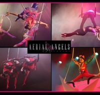 Aerial Angels - Accommodation in Bendigo