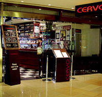 Cervo - Accommodation in Bendigo