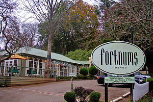  Accommodation in Bendigo