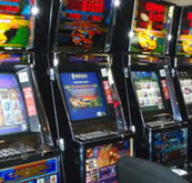 Katherine Country Club - Accommodation in Bendigo