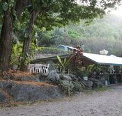 Ellis Beach Bar  Grill - Accommodation in Bendigo