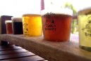 Moody Cow Brewery - Accommodation in Bendigo 1