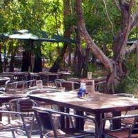 Lizard's Outdoor Bar And Grill - Accommodation in Bendigo 3