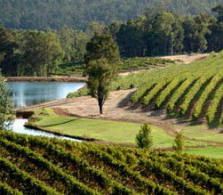 Brookhampton Estate Vineyard - Accommodation in Bendigo 0