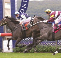 Gosford Race Club - Accommodation in Bendigo