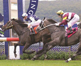 Gosford Race Club - Accommodation in Bendigo 0