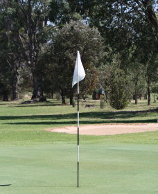 Inverell Golf Club - Accommodation in Bendigo 1