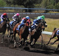 Alice Springs Turf Club - Accommodation in Bendigo