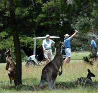 Glen Innes Golf Club - Accommodation in Bendigo