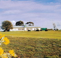 Lucindale Country Club - Accommodation in Bendigo