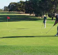 Waikerie Golf Club - Accommodation in Bendigo