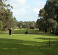 Mount Gambier Golf Club - Accommodation in Bendigo