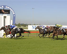 Kembla Heights NSW Accommodation in Bendigo