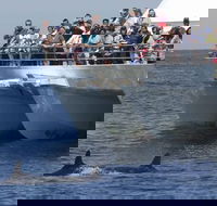 MoonshadowTQC Cruises - Accommodation in Bendigo