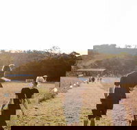 Arcadia - Accommodation in Bendigo