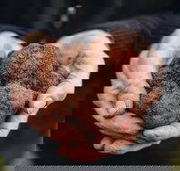 A Taste of Truffles - Accommodation in Bendigo