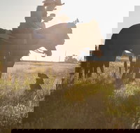 Balonne Cutting Horse Futurity