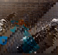 Baroque Horse Festival - Accommodation in Bendigo