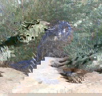 Bathurst Arts Trail - Accommodation in Bendigo