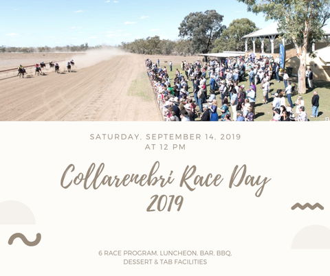 Collarenebri Races - Accommodation in Bendigo 0
