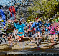 Duval Dam Buster Trail Run - Accommodation in Bendigo