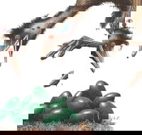 Edward the Emu - Accommodation in Bendigo