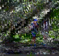 Elephant Trail Race - Accommodation in Bendigo