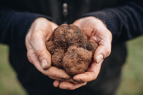 Feast And Forage - Craig's Royal Hotel - Accommodation in Bendigo 0