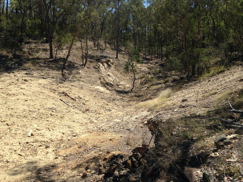 Gemorama - Accommodation in Bendigo 1
