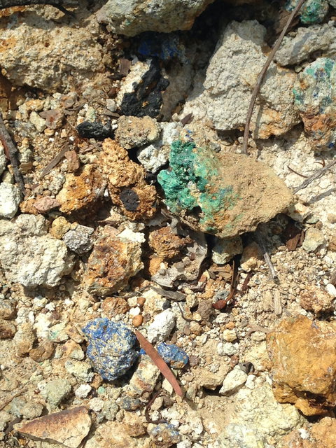 Gemorama - Accommodation in Bendigo 2