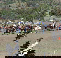 Gresford Agricultural Show - Accommodation in Bendigo