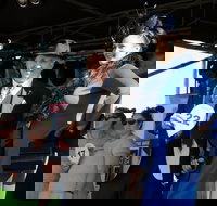 Ipswich Cup 2021 - Accommodation in Bendigo