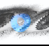 Joe Orton's What the Butler Saw - Accommodation in Bendigo