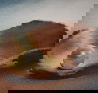 Lecture Cancelled  ADFAS  Lecture Half-Day - Patricia Law speaking on Pearls and Diamonds - Accommodation in Bendigo