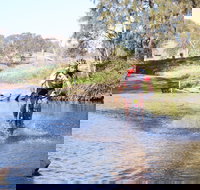 Mountain Man Tri Challenge - Accommodation in Bendigo