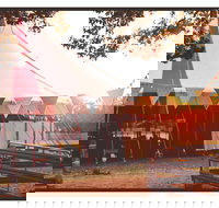 Mullum Circus Festival - Accommodation in Bendigo