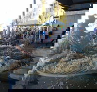 Narrabri Show - Accommodation in Bendigo