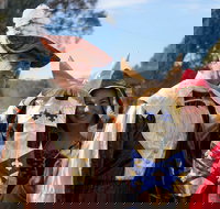 Newbridge Winter Solstice Festival - Accommodation in Bendigo