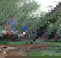 Night Horse Ride and Dinner - Accommodation in Bendigo