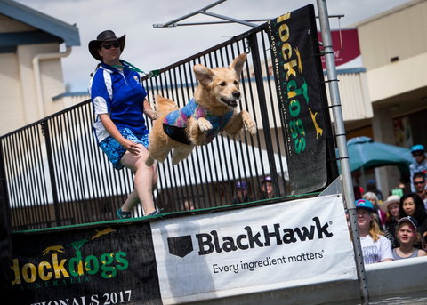 Perth Royal Show - Accommodation in Bendigo 2