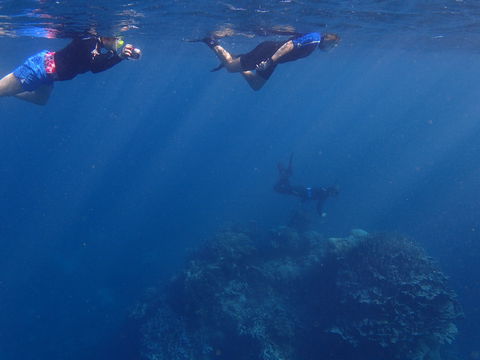 Project Manta Ningaloo Reef, Western Australia - Accommodation in Bendigo 1
