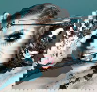 Reuben Kaye Comes Out to Play - Accommodation in Bendigo