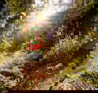 Run Dungog - Accommodation in Bendigo