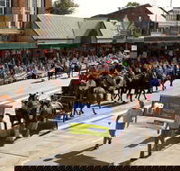 Scone Horse Festival - Accommodation in Bendigo