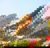 Sevenhill Producers Market - Accommodation in Bendigo