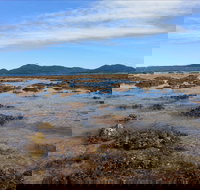 Walk to the Reef - Accommodation in Bendigo